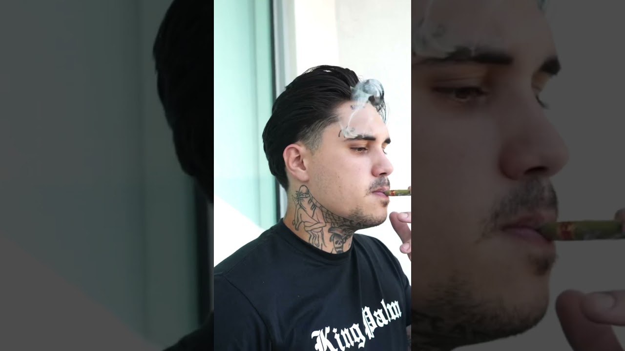 Check out all the new products by King palm booking now 754-707-2888 for inquiries please be patient