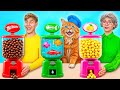 自分 vs おばあちゃんの料理チャレンジ 猫と一緒に | 素晴らしいらしい食べ物のハック TeenDO Challenge