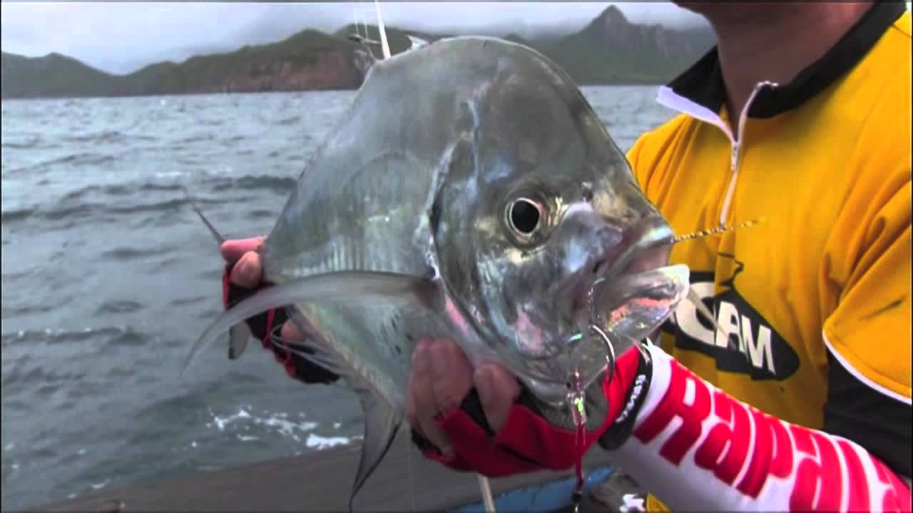 Storm Gomoku Erito (Full Commercial)