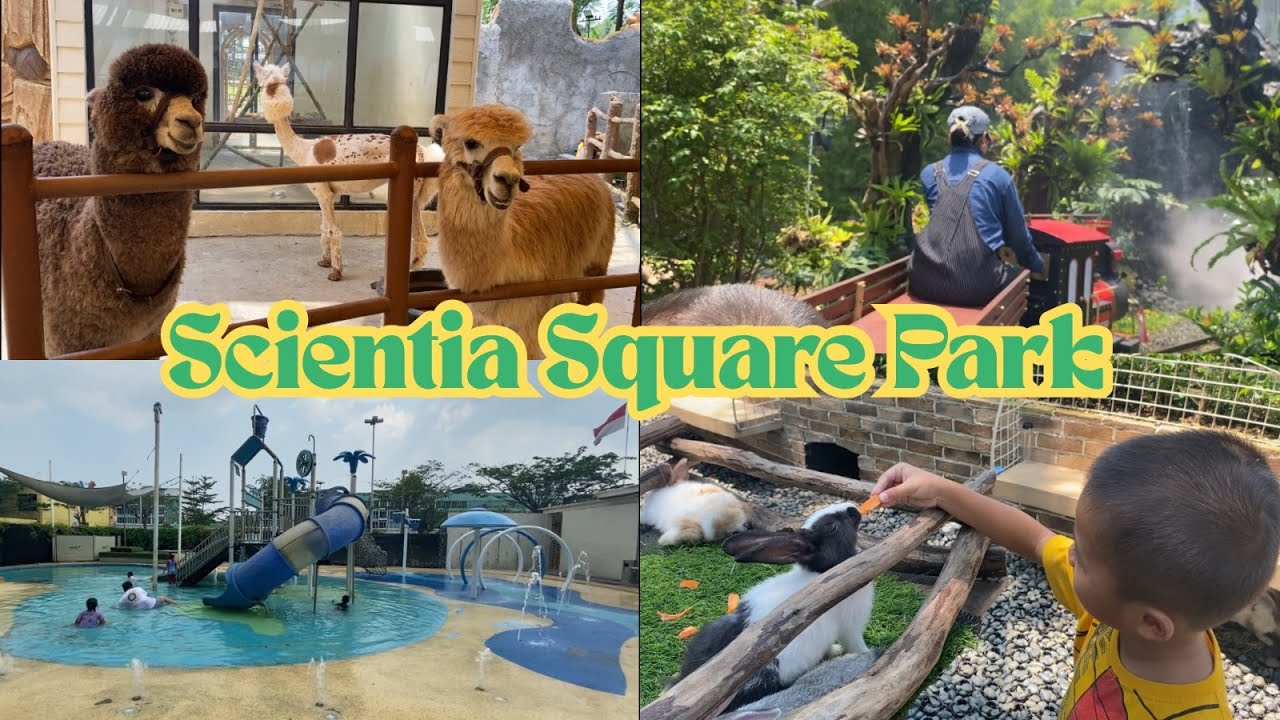 🧗‍♂️ Aktivitas Seru Sepuasnya! Cuma 40 an Ribu di Scientia Square Park Gading Serpong!