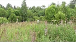 ДОРОГАМИ ВЯТСКОГО КРАЯ  Выпуск 5 й