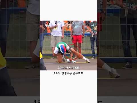 하늘의 F1이라는 유선 비행 대회