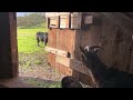 123Homefree is live at a new goatfarm!
