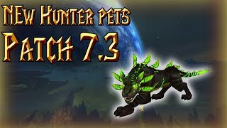 NEW HUNTER PETS IN 7.3│Panthara and more│World of Warcraft Legion