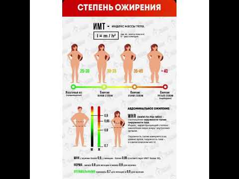 Здоровье и еда: Степень ожирения - ИМТ/28.07.22