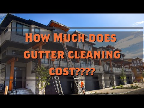 How Much Does Gutter Cleaning Cost?