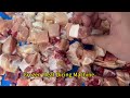 Frozen Meat Dicing Machine Meat Cutting Machine