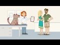 Banfield pet hospital  optimum wellness plans for dogs and cats