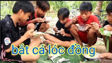 đặc sản miền tây | cá lóc nướng | tâm gạo