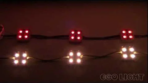 RGBW LED Controller, RGB+White output - EcolocityLED.com