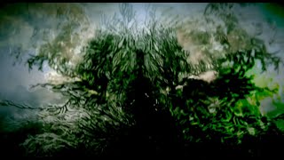 Creature Of The Sea - Filed Fangs