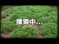 朝夕の確認大変