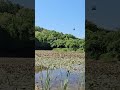 UH1 On The Water
