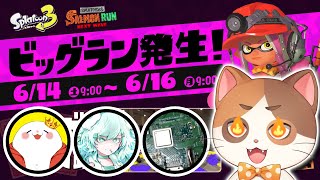 【ビッグラン】超高難易度ゾンビゲーをクリアしたメンバーで奇跡を起こすビッグラン！【サーモンラン】