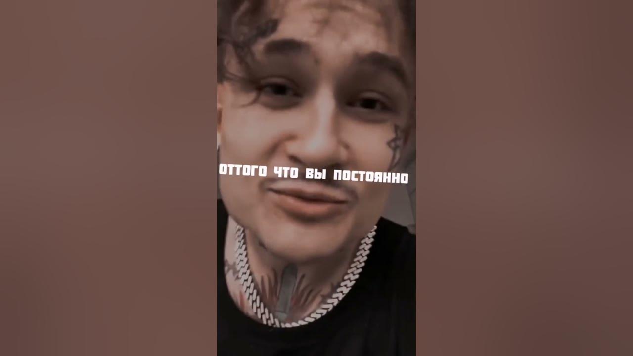 Алишер Моргенштерн мерин