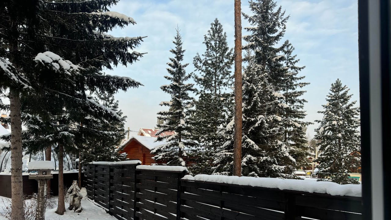 Встречаем Новый год на даче. Традиционные салаты. Новогоднее печенье