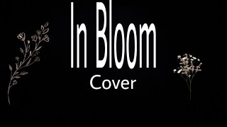 Download Lagu NIRVANA - In Bloom (Perfect solo) (Guitar cover) MP3