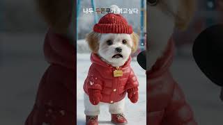 두쫀쿠가 뭐길래ㅣ강아지 간식😏두바이 초코릿 🐶#shorts #먹방 #강아지 #애견영상#보리 #비숑 #아량 #puppy #poodle