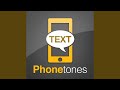 Professional alert tone  simple short melody notification  sms text  ringtone