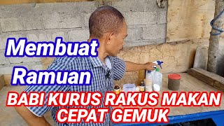 Cara Membuat Ramuan Agar Babi Kurus Rakus Makan Cepat Gemuk. #babikurus #ramuanpenggemukanbabi