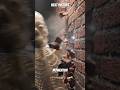 The Physics Of Running Through A Solid Brick Wall At High Speeds