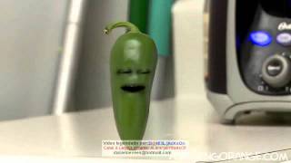 A Laranja Irritante Pimentão Jalapeño