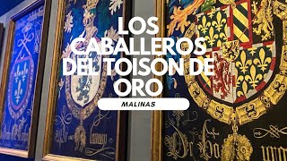 #shorts Los Caballeros del Toisón de Oro en Malinas; una expo del Museo Hof Van Busleyden