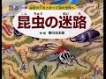 ムシのかくし絵　昆虫の迷路　Picture maze of insects