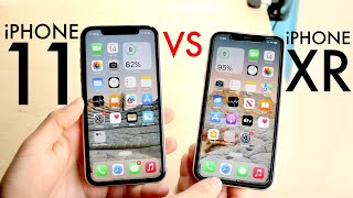 iPhone 11 Vs iPhone XR In 2023! (Comparison) (Review)