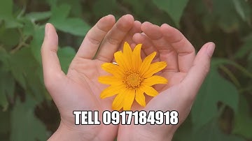 Bảo Lộc  Thương Lắm Xứ B