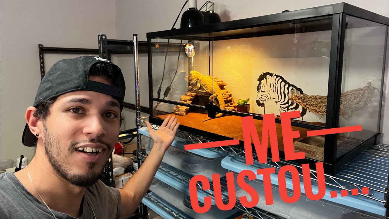 Comprei um terrário novo pro meu Dragão Barbudo Rex!