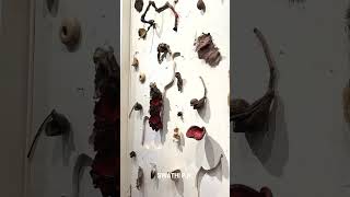Open Studio Walkthrough - Karnataka Artists' Residency 2024