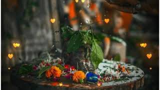 Namo Namo Shree Shankara Whatsapp Status