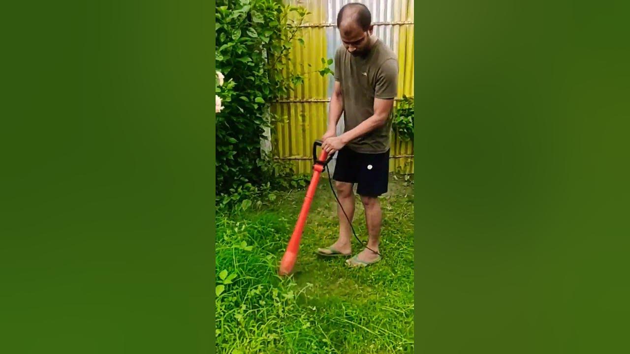 How much does grass cutting cost? YouTube