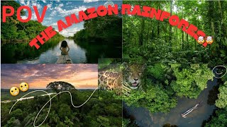 THE AMAZON RAINFOREST : Inside Earth’s Last Untouched Kingdom 🌿 | Full Documentary