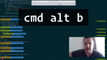 iTerm instant replay / time travel