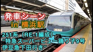 251系（RE-1編成） “特急スーパービュー踊り子9号 伊豆急下田行き”電車 横浜駅を発車する 2019/12/29