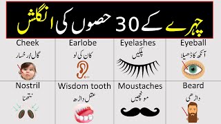 Parts of Face Name in English and Urdu | Face Vocabulary | @Vocabineer