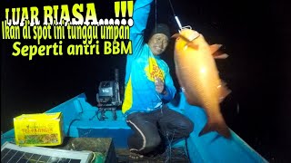 LUAR BIASA IKAN DI SPOT INI TUNGGU UMPAN SEPERTI ANTRI BBM