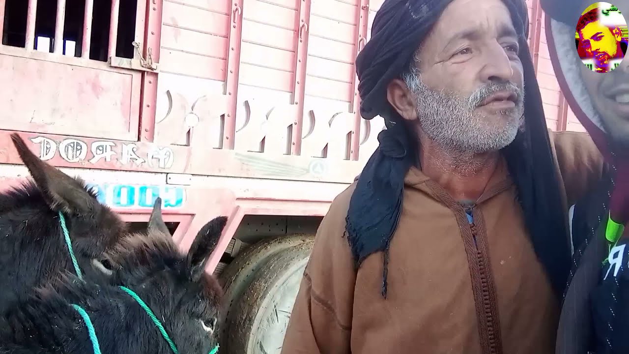 لعواد  بفيديو جديد في سوق انزكان ديما دحك معا لعواد كولشي ديال لله🐴🐴🐴🐴🐴🐴