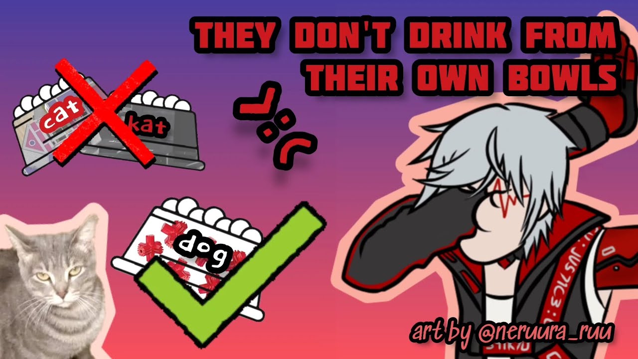 FULGUR's cats don't drink from their own water bowls