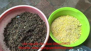 Ổ mồi câu lục chuyên trắm đen hiệu quả cho mùa đông với vị mồi câu thuốc bắc truyền thống