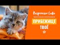 Прибежище твоё - ВОСКРЕСЕНСКОЕ СЛОВО