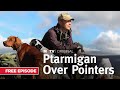 Ptarmigan Over Pointers | MyOutdoorTV | Free Episode