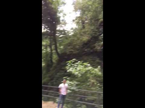 Batumi Mountain Ajara