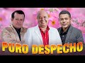 José Mogollón, Luis Alberto Posada, Fernando Burbano 🍻🥃Puro Despecho Mix 🍻🥃Musica Popular Mix