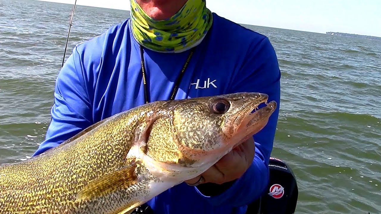 Trolling for WALLEYES on Saginaw Bay with Planer Boards YouTube