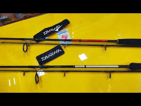 Fishing rod under 💰💵 5000 Part 3: Daiwa phantom snapper and phantom  Catfish 4K Video 