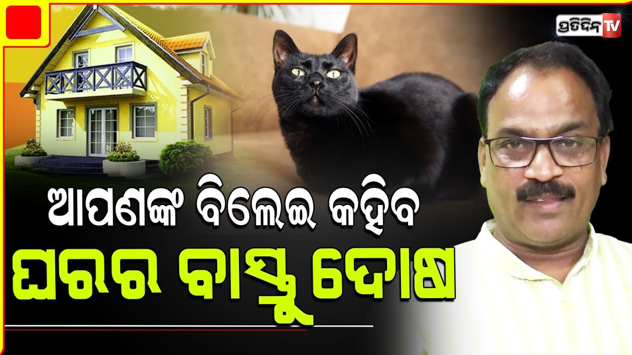 ଆପଣଙ୍କ ଘରର ବିଲେଇ ଓ ପିମ୍ପୁଡ଼ି କହିବେ ଘରର ବାସ୍ତୁ ଦୋଷ l