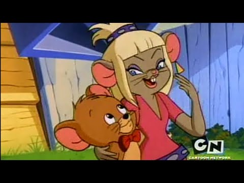 Tom and Jerry Kids S 01 E 13 B - THE VERMIN |LOOcaa|